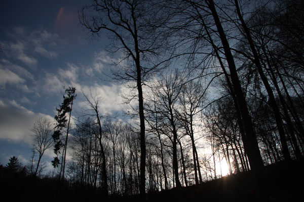 A Digital-Walk-In-Motion – Sonntags im Wildpark Saarbrücken