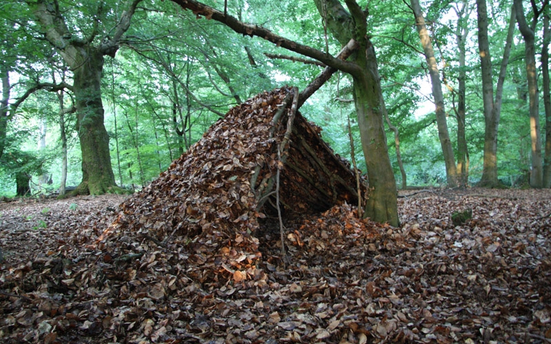 Operation Laubhütte im St.Wendeler Land