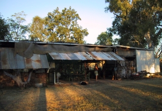Mornington Station und Old Mornington Bushcamp (III)