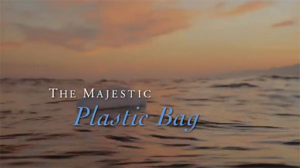 The Majestic Plastic Bag - Video